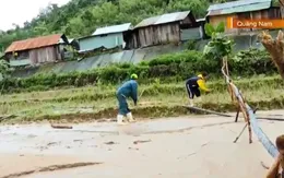 Nhọc nhằn mưu sinh sau mưa lũ