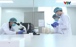 Hệ thống quản lý vaccine của Việt Nam đạt cấp độ cao thứ 2 trong thang đánh giá của WHO