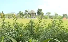 Xã hội hóa xây dựng nghĩa trang: Giải pháp thúc đẩy "mai táng xanh"