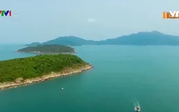 Bảo tồn thiên nhiên tại Cù Lao Chàm