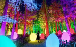 Lạc lối trong ánh sáng huyền ảo tại vườn cổ đẹp bậc nhất Nhật Bản