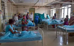 Thuốc trừ sâu là nguyên nhân khiến 600 người mắc bệnh lạ ở Ấn Độ