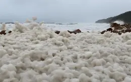 Hiện tượng bọt nâu kỳ lạ phủ kín bờ biển ở Australia