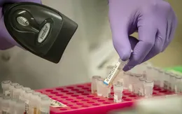 Pháp có ca bệnh đầu tiên tái nhiễm biến chủng mới