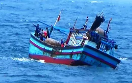 Tìm kiếm 2 ngư dân Bình Định mất tích
