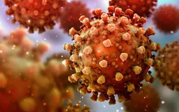 Không có lý do lo sợ đột biến của virus SARS-CoV-2