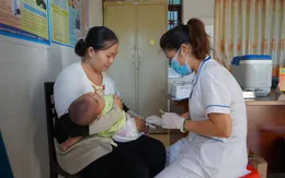 Cẩn trọng với bệnh viêm não Nhật Bản