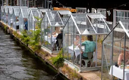 Cuộc sống "bình thường mới" - định nghĩa của năm 2020