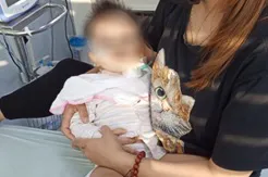 Cảnh báo: Di chứng tay chân miệng có thể gây liệt chân hoàn toàn