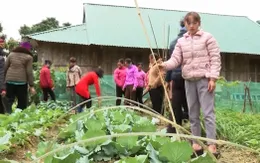 Đẩy mạnh đào tạo nghề tại khu vực miền núi