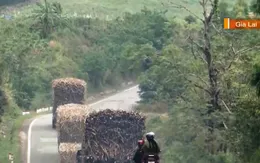 Xe mía chở quá khổ, quá tải xuôi ngược tung hoành ở Gia Lai