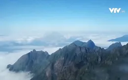 Hiện tượng băng giá trên đỉnh Fansipan