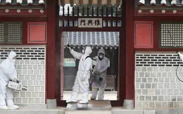 Bộ Y tế Hàn Quốc lên tiếng về tin đồn ăn kim chi ngăn virus corona mới