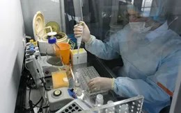 Phòng thí nghiệm đầu tiên thử nghiệm vaccine ngừa Covid-19 trên động vật
