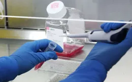 Nhật Bản cho phép thử nghiệm lâm sàng thuốc điều trị HIV để chống virus nCoV