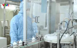 Ghé thăm đơn vị sản xuất vaccine và thuốc thú y ở Hoài Đức, Hà Nội