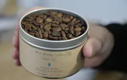 Cà phê Geisha có giá bán đắt nhất thế giới