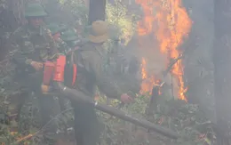 Khống chế vụ cháy rừng thông trên núi Đại Bình, Lâm Đồng