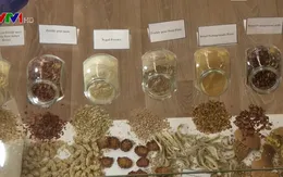 Cơ hội của dược liệu hữu cơ trên thị trường châu Âu