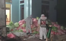 Bắt giữ cơ sở thu gom 620 kg khẩu trang y tế đã qua sử dụng