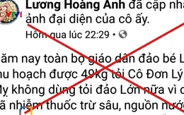 Phạt 12,5 triệu đồng nữ doanh nhân tung tin sai về tỏi Lý Sơn