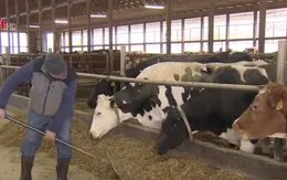 Nông dân Mỹ thường làm gì vào mùa đông để đảm bảo lượng lương thực?