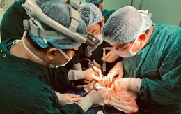 Ghép gan hồi sinh cuộc sống cho 2 bệnh nhi giai đoạn cuối