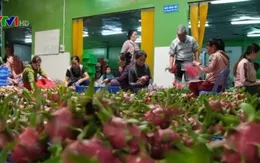 Bàn giải pháp tiêu thụ nông sản