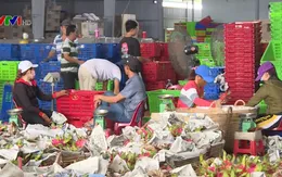 Cộng đồng chung tay tiêu thụ nông sản, ổn định thị trường