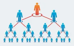 Chấm dứt hoạt động bán hàng đa cấp của Công ty TNHH BHIP