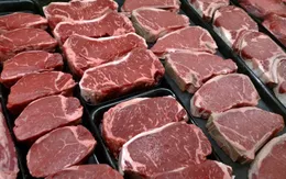 Thay thịt đỏ bằng protein thực vật hoặc sữa giúp sống lâu hơn