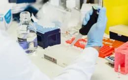 Anh tìm người tình nguyện nhiễm virus SARS-CoV-2 để phục vụ nghiên cứu
