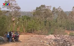 Mùa “đốt rác” ám ảnh người dân Đắk Nông
