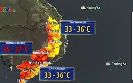 Cảnh báo cháy rừng ở Tây Nguyên và Nam Bộ