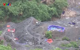 11 phu vàng bị bắt giữ trái phép