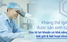 Cách ngăn cản virus xâm nhiễm, bảo vệ đường hô hấp bằng bào tử lợi khuẩn