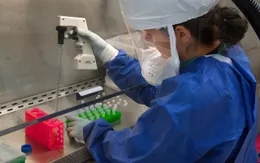 Bỉ phát triển kháng thể có khả năng vô hiệu hóa virus SARS-CoV-2