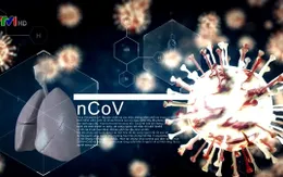 Việt Nam ghi nhận 7 ca mắc mới COVID-19, thêm một bác sĩ nhiễm bệnh