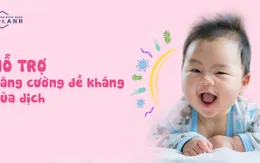 Giải pháp hỗ trợ tăng đề kháng cơ thể bằng Bào tử lợi khuẩn và đường kích thích miễn dịch XOS