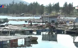 Tháo dỡ lồng bè không phép tại vịnh Mân Quang (Đà Nẵng)