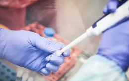 Indonesia sản xuất thuốc chống sốt rét Chloroquine để điều trị COVID-19