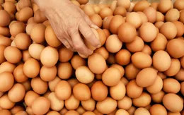 Giá trứng tại Mỹ tăng mạnh