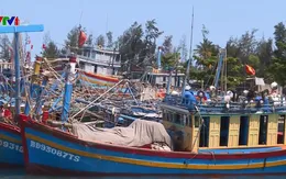 Bình Định xử phạt 4 tàu cá vi phạm vùng biển nước ngoài