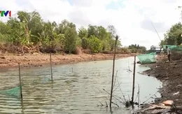 Đời sống người dân vùng ngọt hóa bị đảo lộn vì hạn mặn