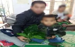 Bé trai 5 tuổi tan máu cấp nặng vì ăn... lá du mại