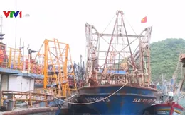 Thêm 5 tàu cá đóng theo Nghị định 67 mua được bảo hiểm