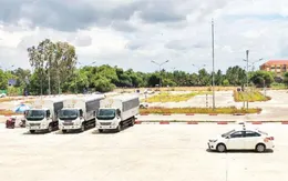 Hơn 80 giáo viên dạy lái xe ở TP. HCM dùng giấy tờ giả để dạy học