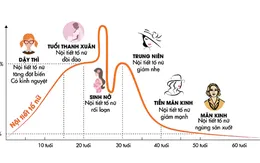 Liệu pháp tăng cường và cân bằng estrogen cho phái đẹp