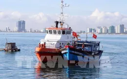 Gia hạn giấy chứng nhận sức khỏe thuyền viên