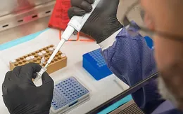 Nhật Bản phát hiện chất có thể sử dụng để bào chế thuốc chữa COVID-19